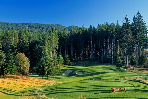Hole #12, Gold Mountain GC (Olympic Course)
