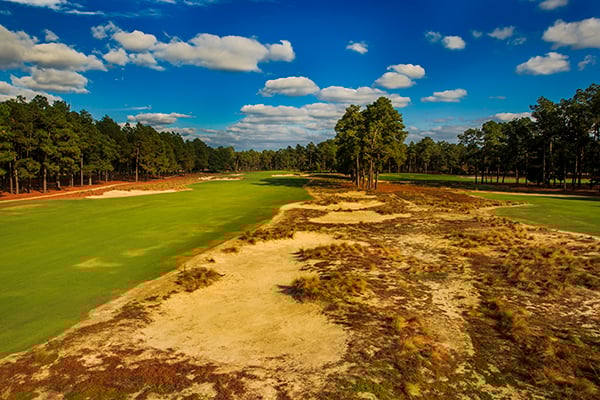 14th hole of Pinehurst No. 2