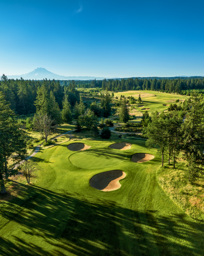 Champion of Champions