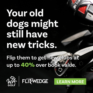 Old-Dogs-Flipwedge-600x600-1
