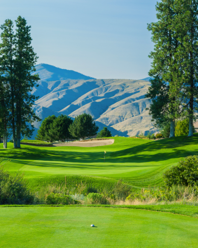 Senior Women's & Super Senior Women's Amateur