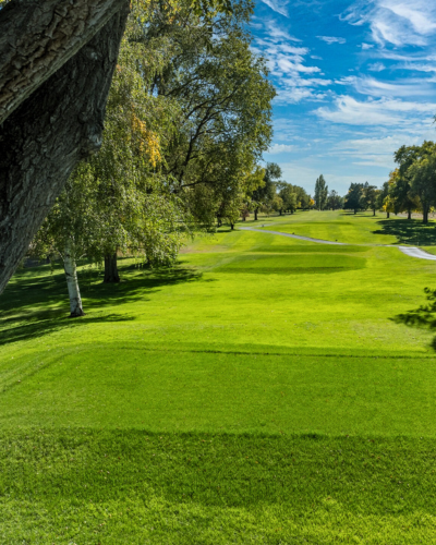 Men's and Senior Men's Four-Ball