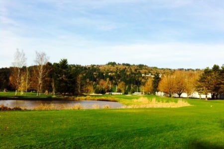 Mint Valley Golf Course