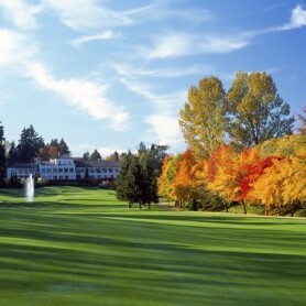 McNelis, Weihe and Talcott Earn Trip to USGA Senior Amateur Championship