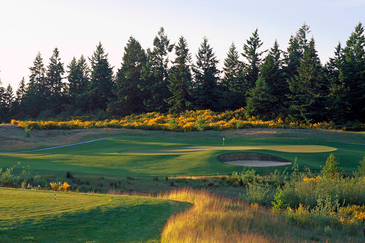 Championship Preview: 13th Annual Champion of Champions