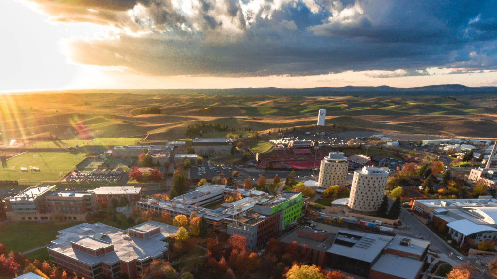 Eastern Washington men's golf rises from the ashes