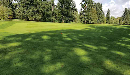 Green Committee Chairs Must Perform a Balancing Act