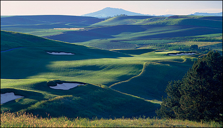 Whalen Earns Medalist Honors at U.S. Amateur Qualifying at Palouse Ridge