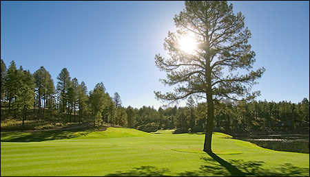 WSGA Team Set to Compete in Morse Cup at 48th Pacific Coast Amateur