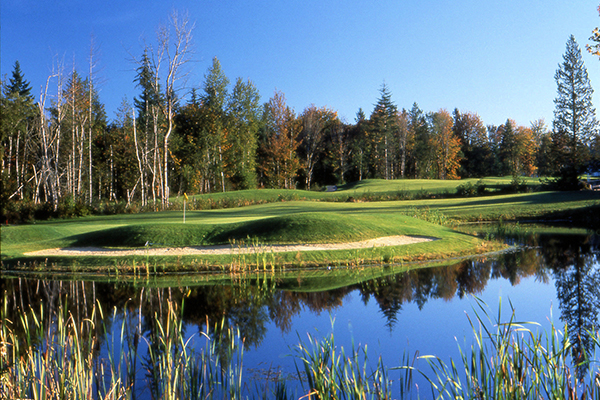 Rules Question of the Week - Week of June 16, 2020