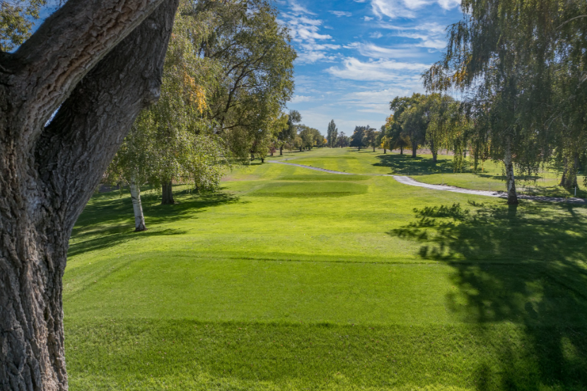 Lakeview to host Washington Men’s Four-Ball championships in 2026