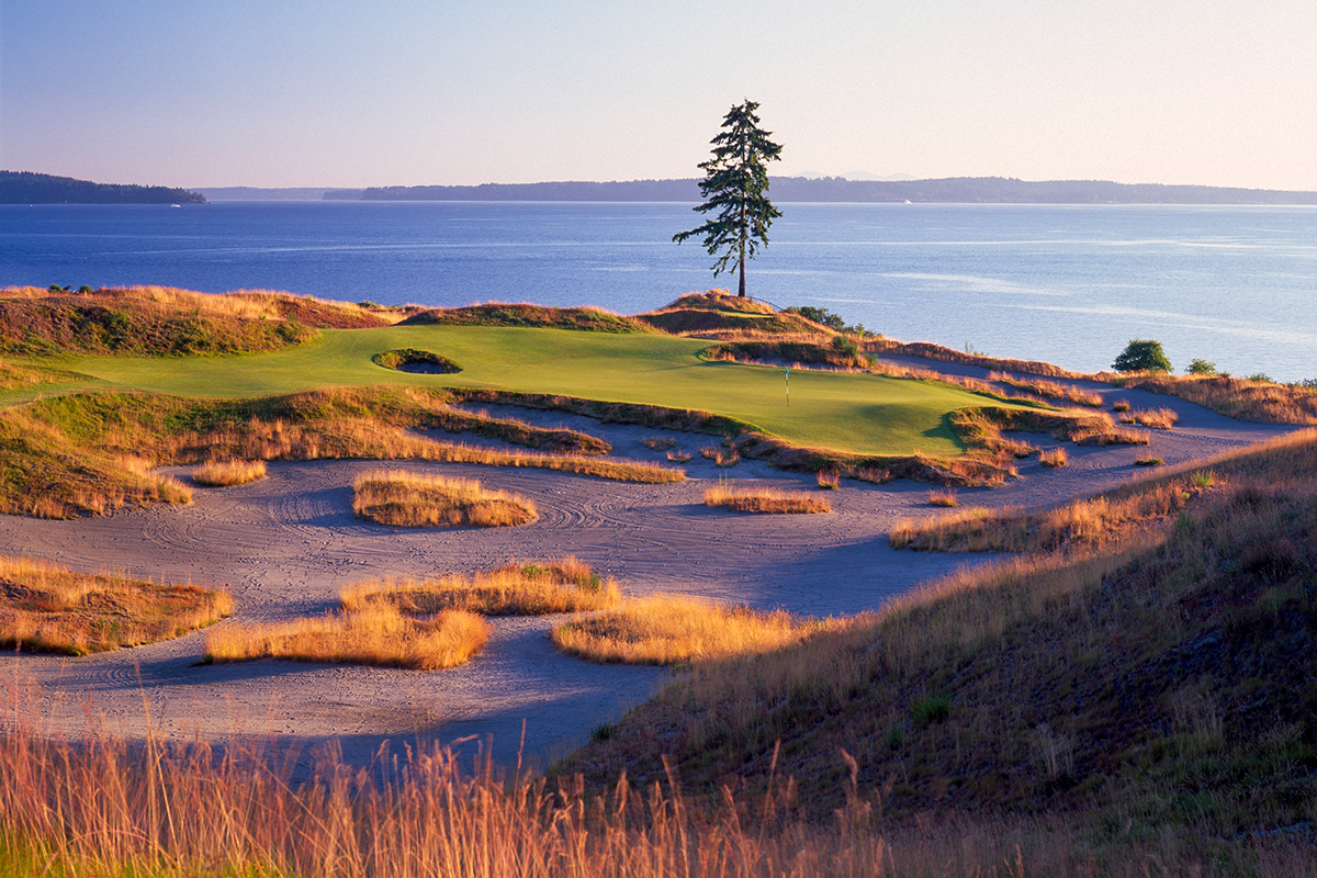 Yanagi, Huddleston and Herendeen selected for 2024 WA Golf Morse Cup Team