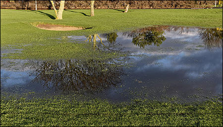 Rules Spotlight: Preferred Lies and/or Winter Rules