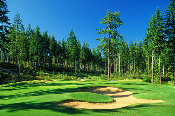 McCormick Woods GC