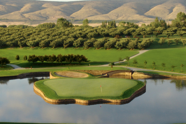 WA Golf Giveway Apple Tree